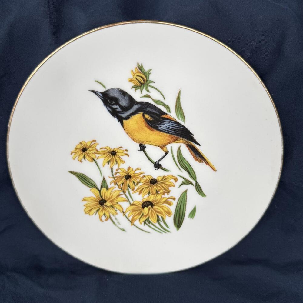 SCHUMANN‎ Arzberg Bavaria Oriole Bird Plates Gold Rimmed 8” Vintage  [COPY] - Picture 2 of 3